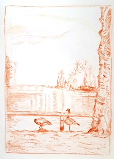 Water Birds at Alexandra Palace Lake