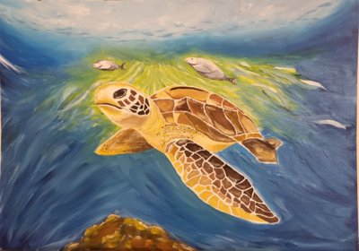 Turtle - Cape Verde