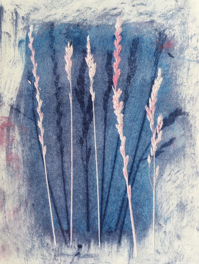 Blue and Pink Grass